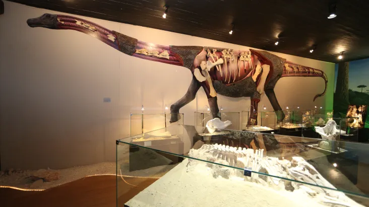 Dentro do Museu dos Dinossauro
