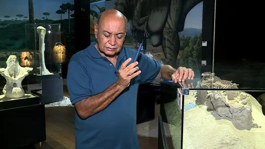O museu dos dinossauros será o primeiro em Uberaba acessível aos deficientes auditivos. 