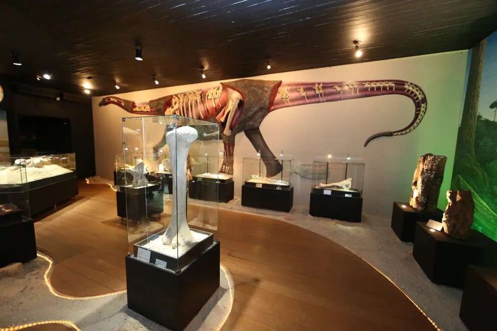 Como é por dentro do museu dos dinossauros