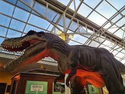 Museu dos Dinossauro